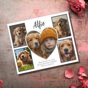 Pet Sympathy 5 Photo Collage Kort