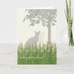 Pet Sympathy Card for Cat Kort