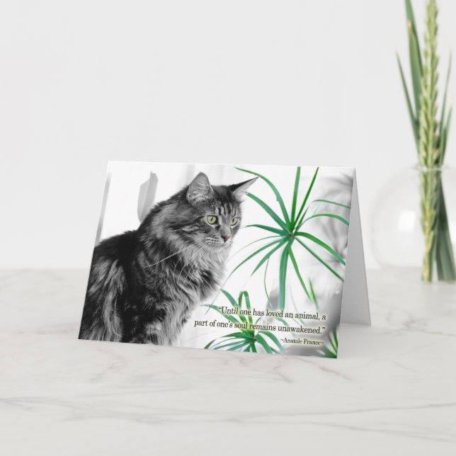 Pet Sympathy Card for Cat Kort (Framsida)
