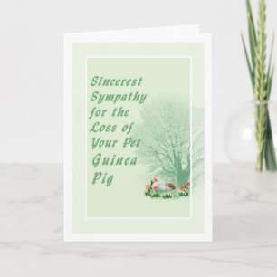Pet Sympathy Card for loss of Pet Guinea Gris Kort