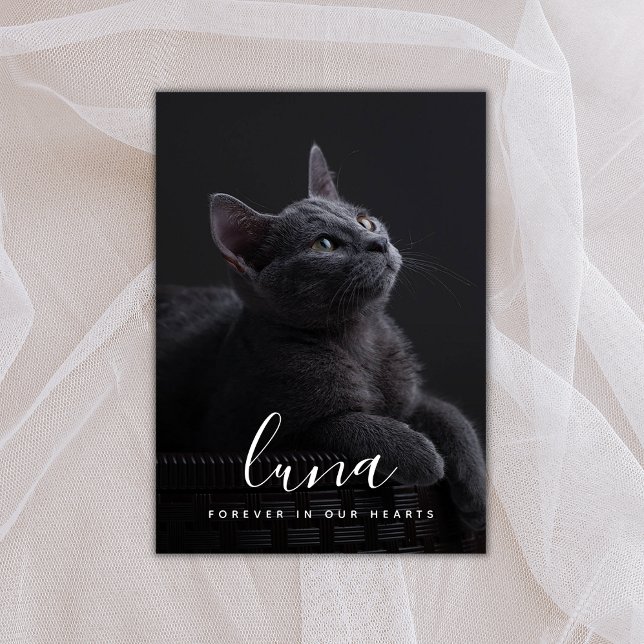Pet Sympathy Card Memorial Tack Kort (Skapare uppladdad)