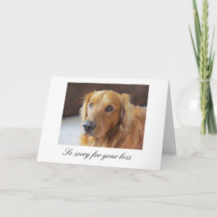 Pet Sympathy Card with Golden Retriever Kort