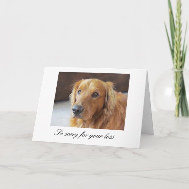 Pet Sympathy Card with Golden Retriever Kort (Framsida)