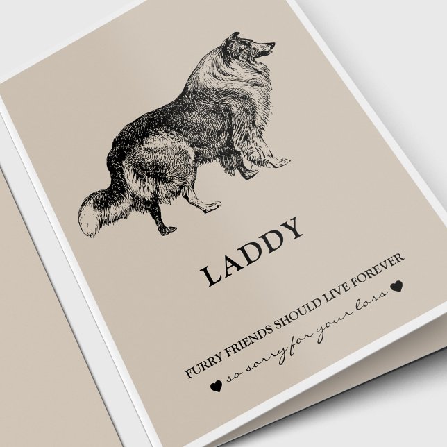 Pet Sympathy Cards | Best Friend Collie Kort (Pet Loss, Pet Memorial sympathy card for a Collie dog. Dog lover.)