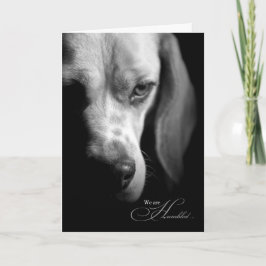 Pet Sympathy | Förlust av Hund | Beagle Black Kort