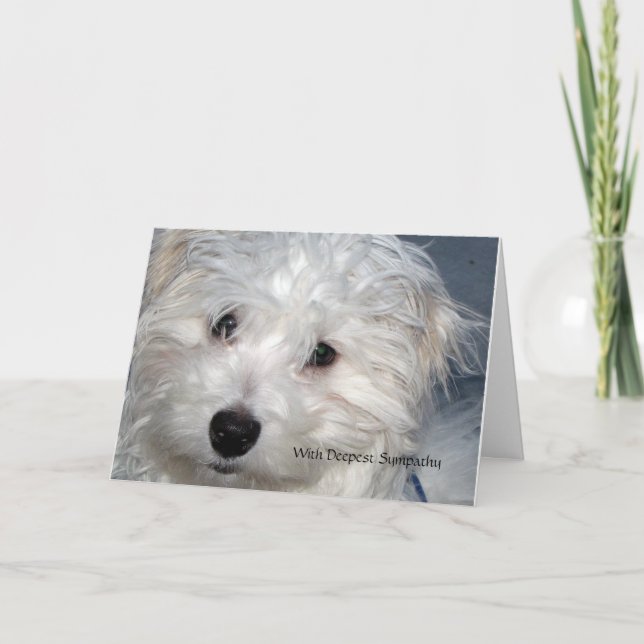 Pet Sympathy - förlust av Hund Kort (Framsida)