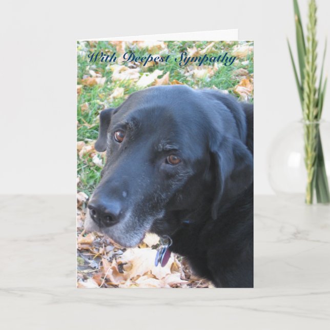 Pet Sympathy Kort (Framsida)