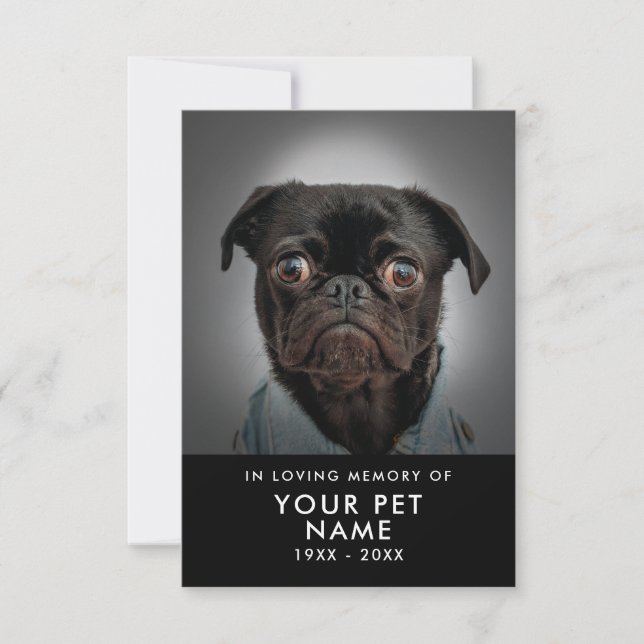 Pet Sympathy-kort Inbjudningar (Framsida)