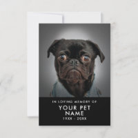 Pet Sympathy-kort