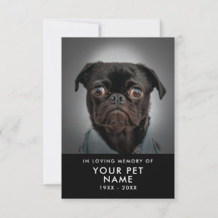 Pet Sympathy-kort Inbjudningar