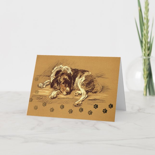 Pet Sympathy Ledsen Hund - vacker illustration Kort (Framsida)