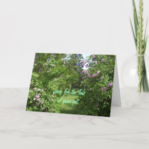 Pet Sympathy-lilac Bush Kort