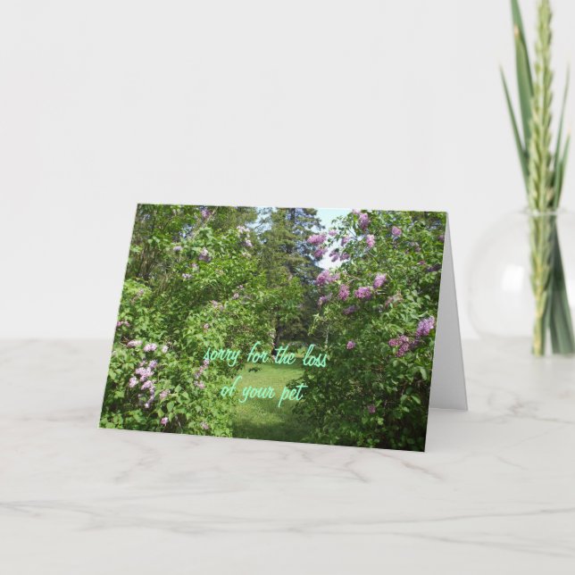 Pet Sympathy-lilac Bush Kort (Framsida)