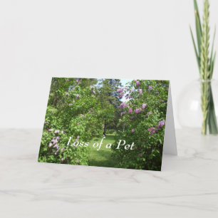Pet Sympathy-Loely Lilac Bush Card Kort