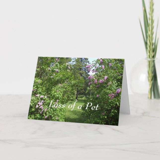Pet Sympathy-Loely Lilac Bush Card Kort (Framsida)