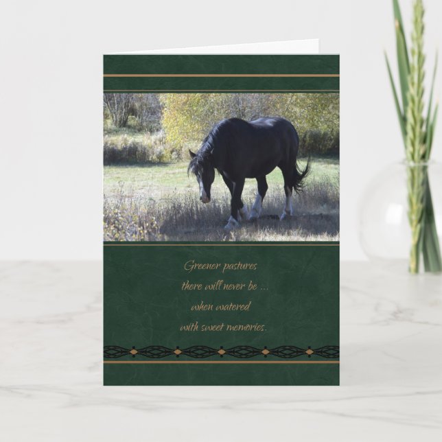 Pet Sympathy Loss Loss Horse Card Kort (Framsida)