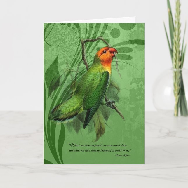 Pet Sympathy Loss of a Bird Lovebird Kort (Framsida)