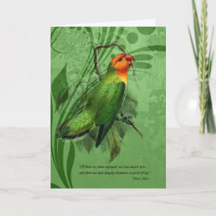 Pet Sympathy Loss of a Bird Lovebird Kort