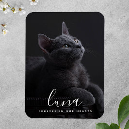 Pet Sympathy Memorial-minnesminnet Magnet