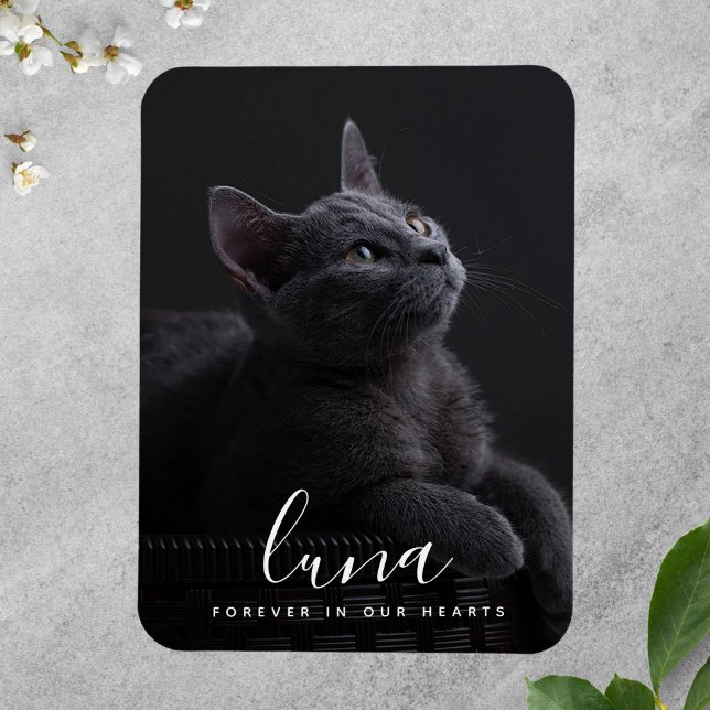 Pet Sympathy Memorial-minnesminnet Magnet (Photo Memorial Magnet)