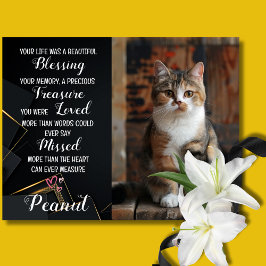 Pet Sympathy Personlig Photo Cat Loss Card Kort