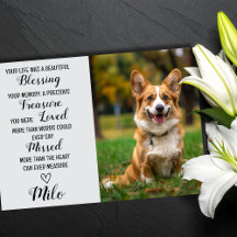 Pet Sympathy Personlig Photo Pet Loss Card