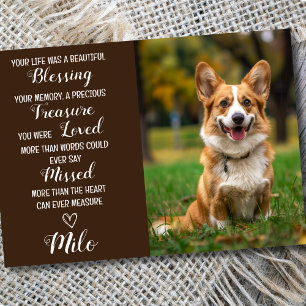Pet Sympathy Personlig Photo Pet Loss Card Kort