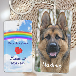 Pet Sympathy Pet Loss Hund Rainbow Bridge Memorial
