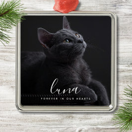 Pet Sympathy Photo Memorial Tribute Julgransprydnad Metall