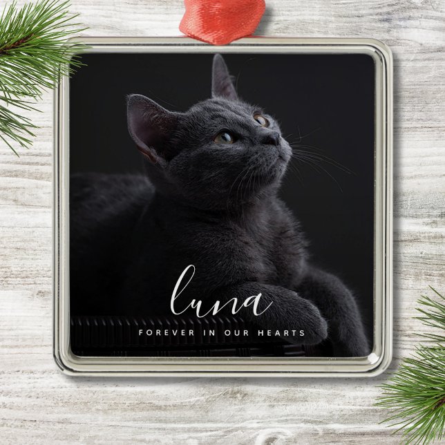 Pet Sympathy Photo Memorial Tribute Julgransprydnad Metall (Pet Memorial Ornament)