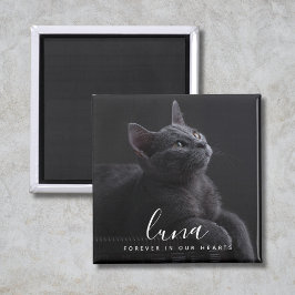 Pet Sympathy Photo Memorial Tribute Magnet