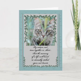 Pet Sympathy Sloss Cat Tabby in the Grass Kort