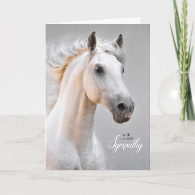 Pet Sympathy Sloss of a Horse White Horse Kort (Framsida)