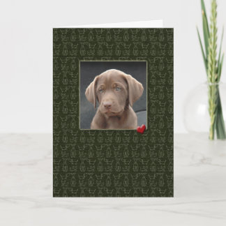 Pet Sympathy Sloss of Hund Card Kort