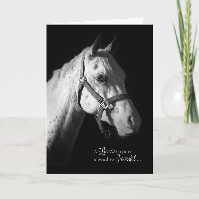 Pet Sympathy - White Horse on Black Kort (Framsida)