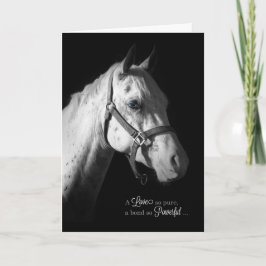 Pet Sympathy - White Horse on Black Kort