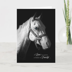 Pet Sympathy - White Horse on Black Kort