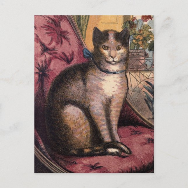 Pet Tabby katt med Collar Blue Ribbon Postcard Vykort (Framsida)