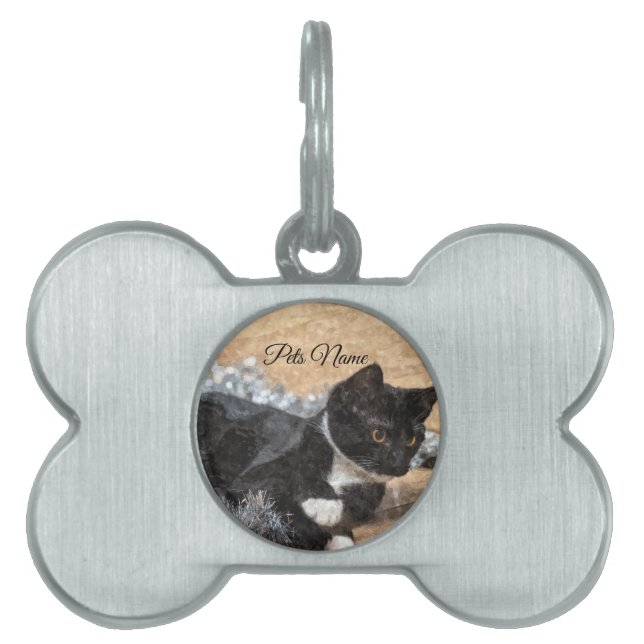 Pet-tagg ID-bricka Husdjur (Framsidan)