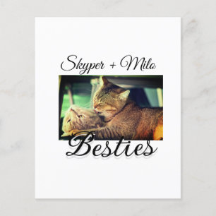 Pet-vänner besties lägger till namn-foto-djuret kä