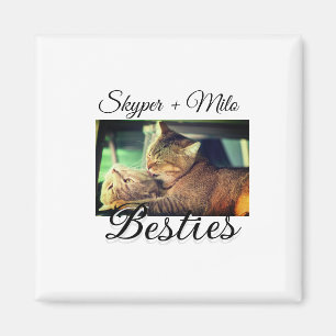 Pet-vänner besties lägger till namn-foto-djuret kä magnet