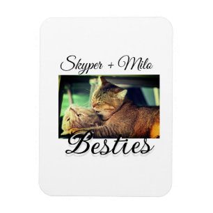 Pet-vänner besties lägger till namn-foto-djuret kä magnet
