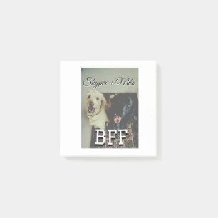 Pet-vänner besties lägger till namn-foto-djuret kä post-it block