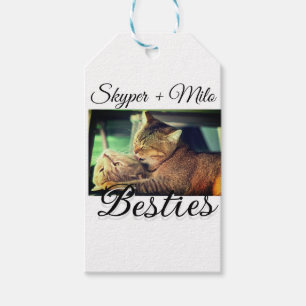 Pet-vänner besties lägger till namn-foto-djuret kä presentetikett