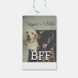 Pet-vänner besties lägger till namn-foto-djuret kä presentetikett