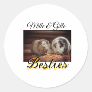 Pet-vänner besties lägger till namn-foto-djuret kä runt klistermärke