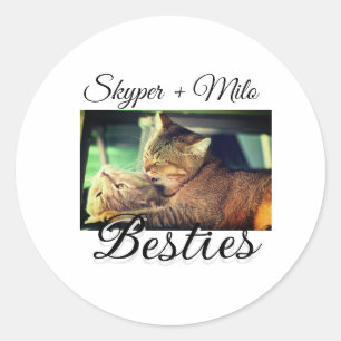 Pet-vänner besties lägger till namn-foto-djuret kä runt klistermärke