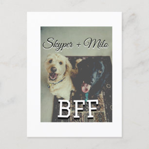 Pet-vänner besties lägger till namn-foto-djuret kä vykort