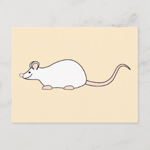 Pet White Mouse. Vykort