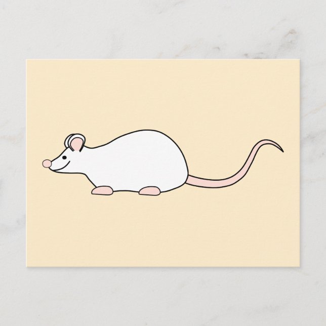 Pet White Mouse. Vykort (Framsida)